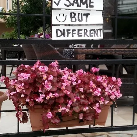 Aparthotel Sailor Alanya